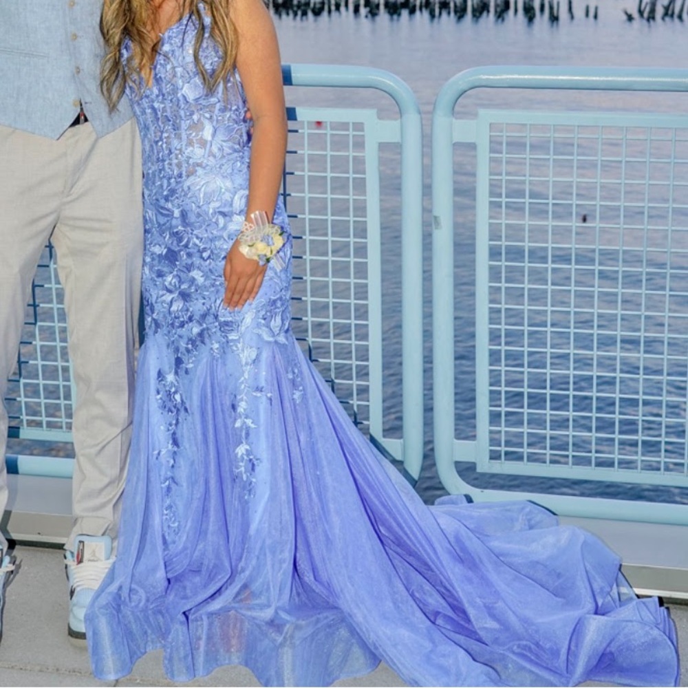 Prom Dress - Picture 2 of 7